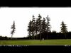 Spruce Trees Low-poly 3D model_1