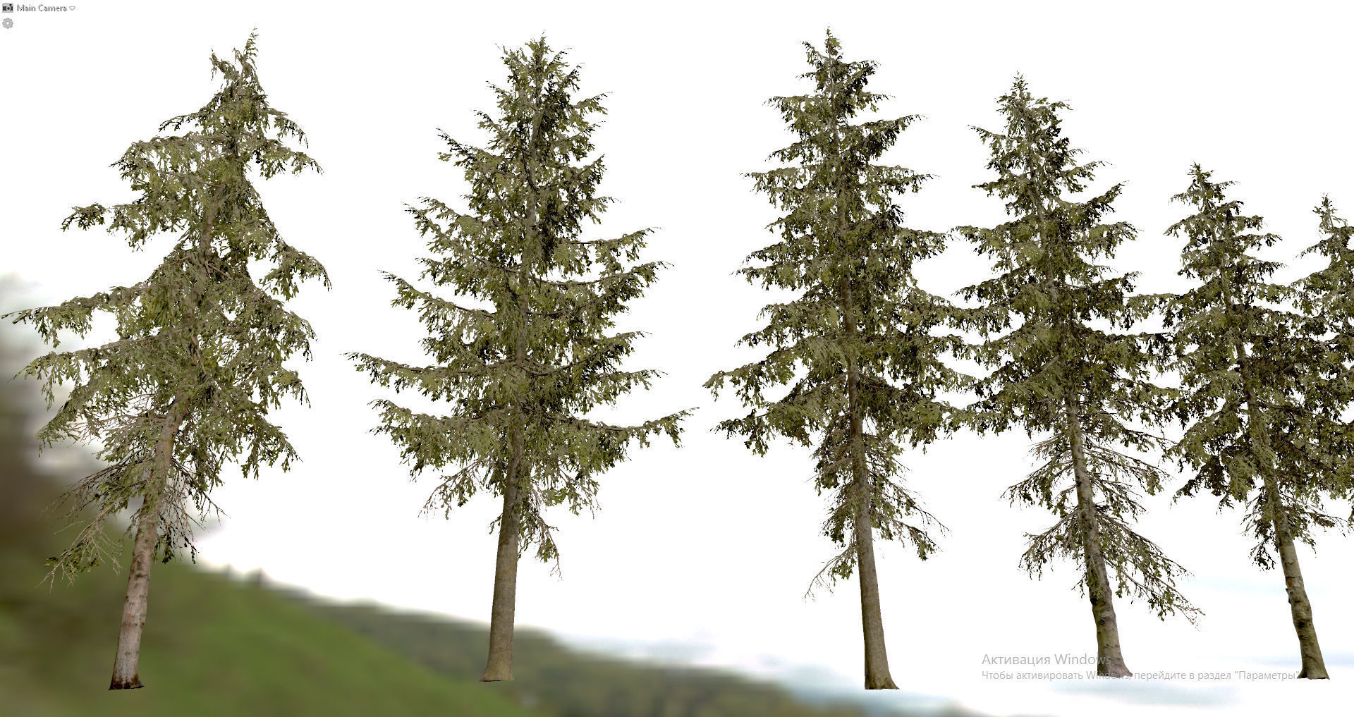Spruce Trees Low-poly 3D model_15