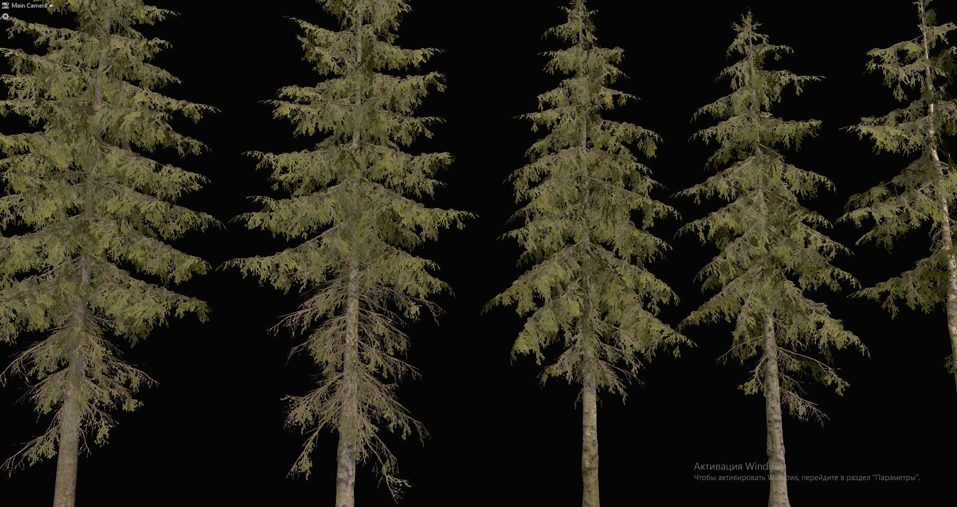 Spruce Trees Low-poly 3D model_32