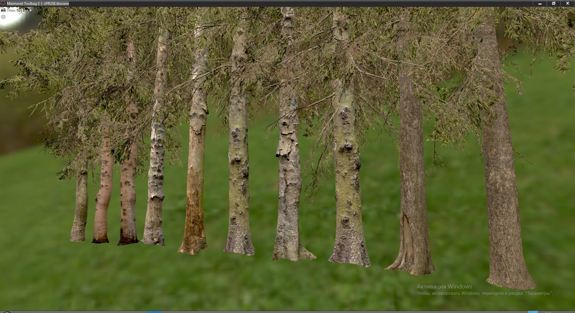 Spruce Trees Low-poly 3D model_13