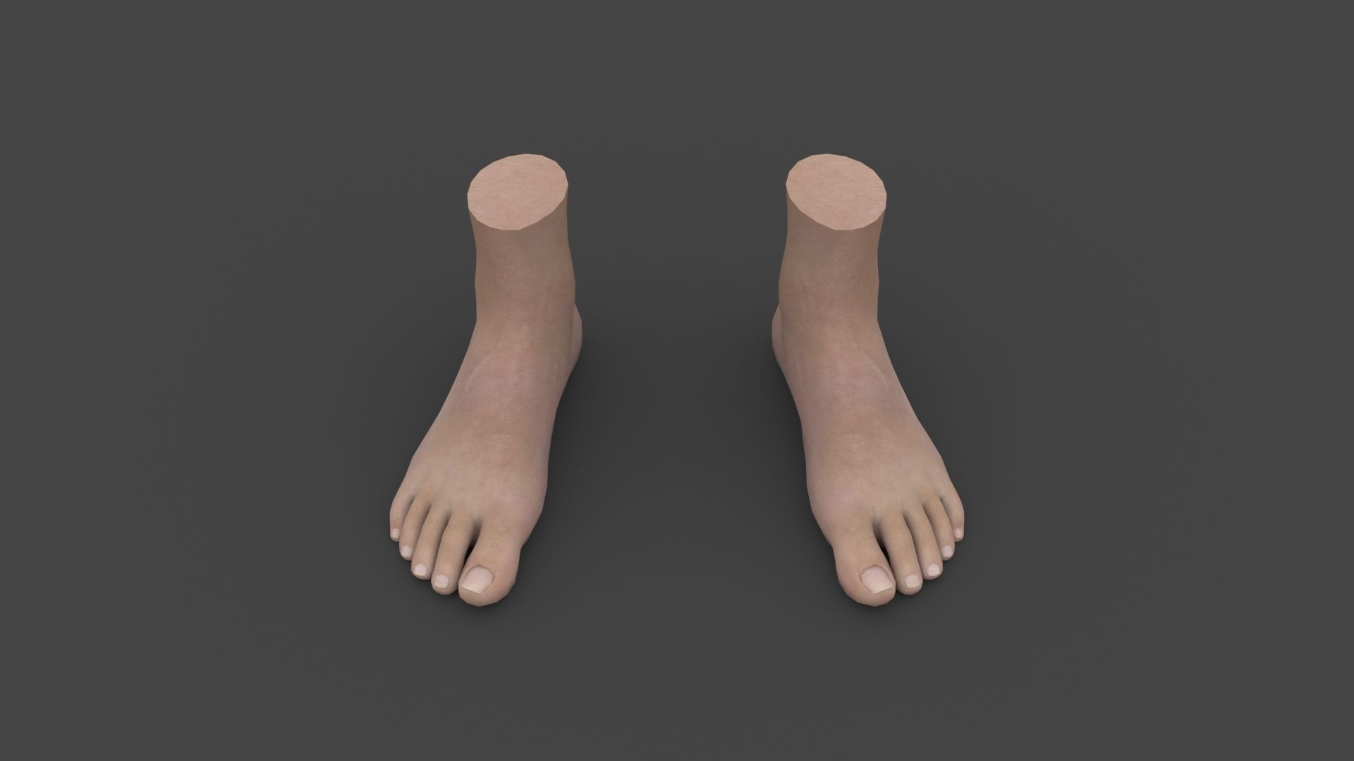 3D model FOOT-003 Rigged Feet VR / AR / low-poly | CGTrader