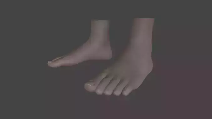 FOOT-003 Rigged Feet Low-poly 3D model