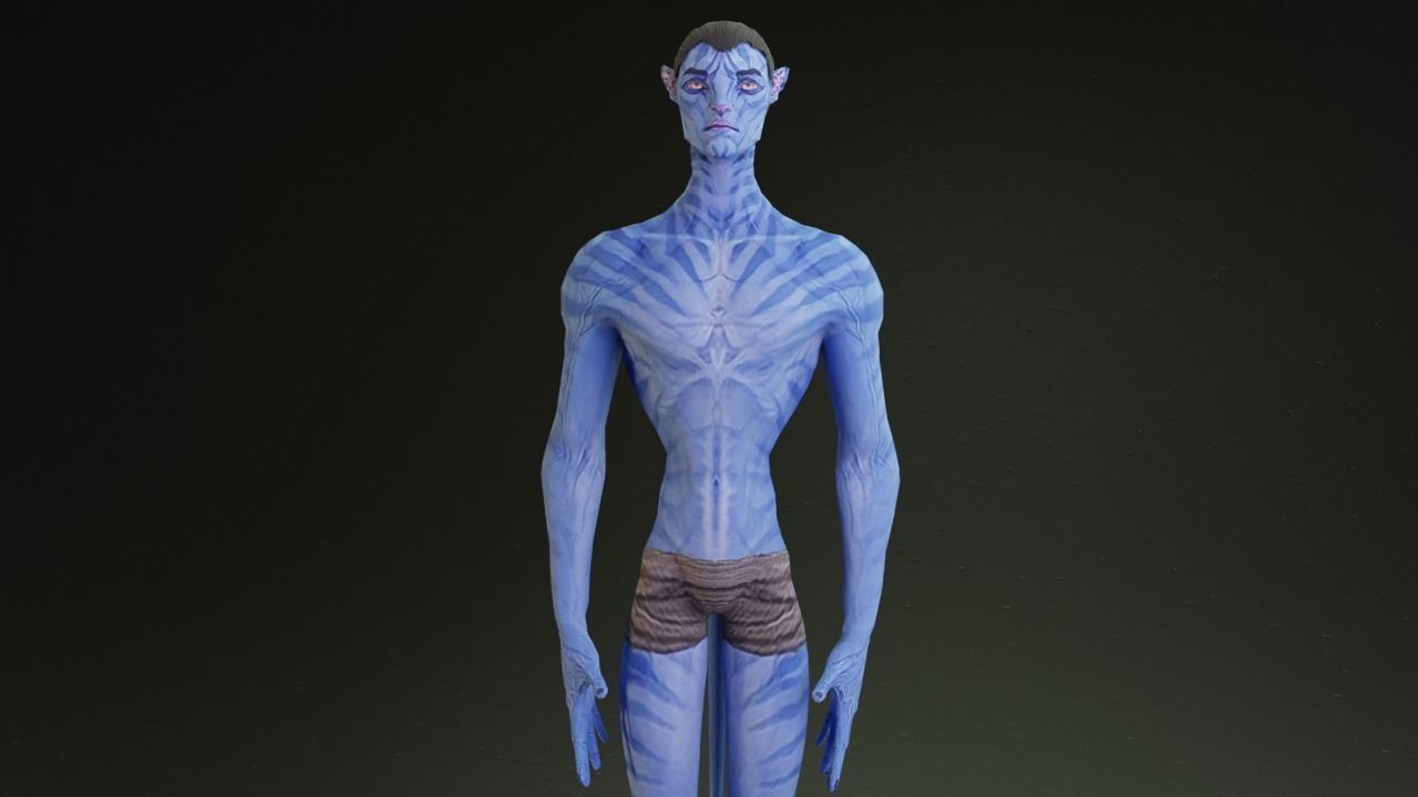 Avatar male and female character rigged 3D model_10