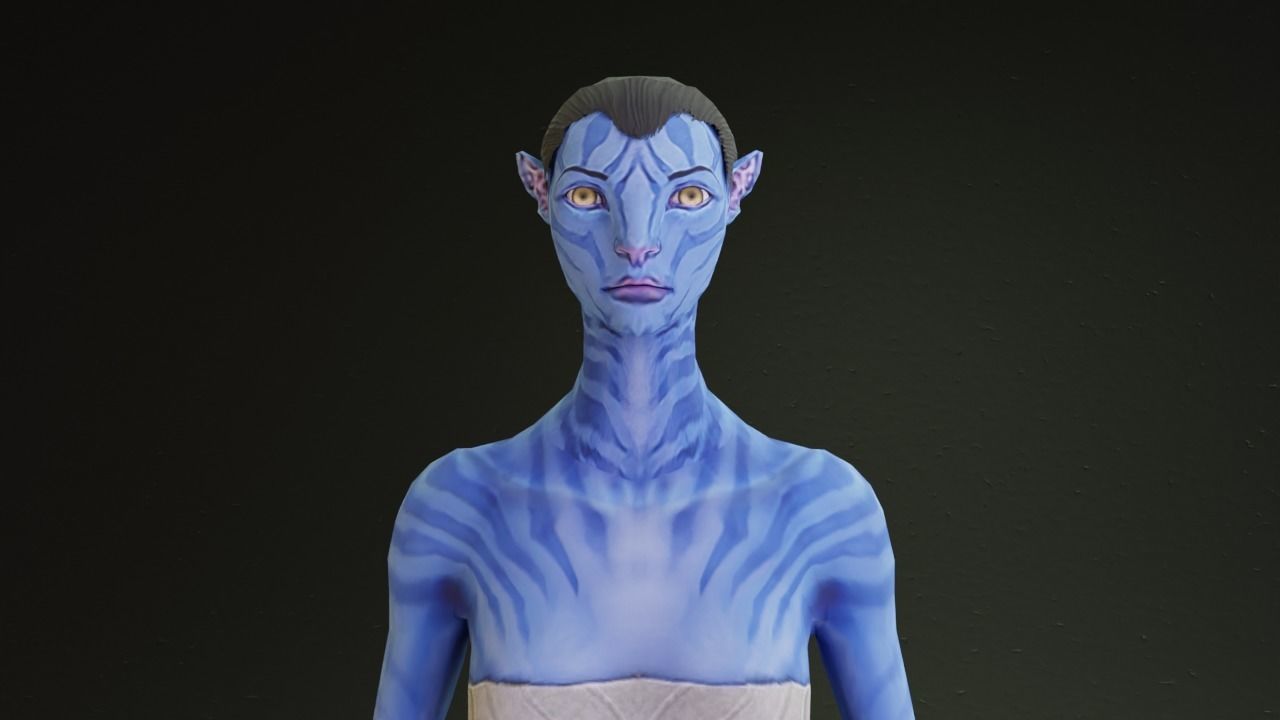 Avatar male and female character rigged 3D model_7