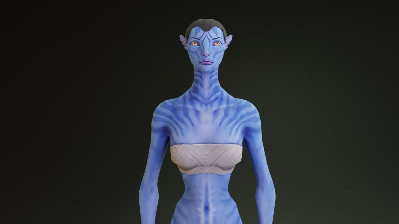 Avatar male and female character rigged 3D model_16