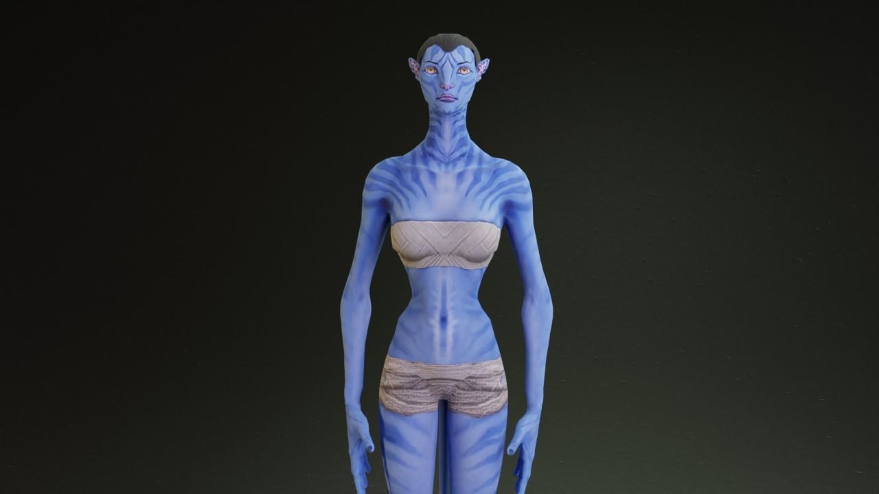 Avatar male and female character rigged 3D model_11