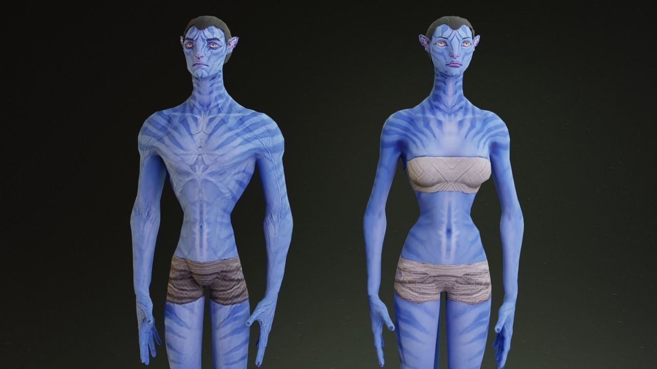 Avatar male and female character rigged 3D model_5
