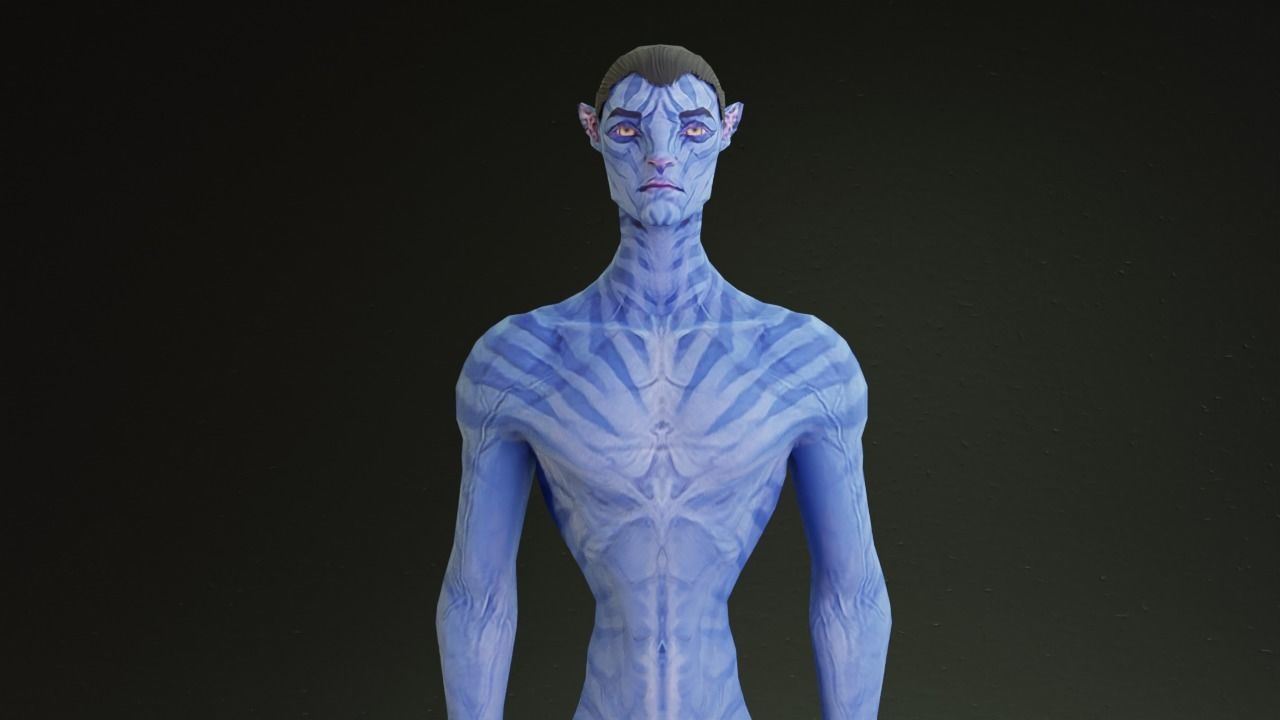 Avatar male and female character rigged 3D model_15