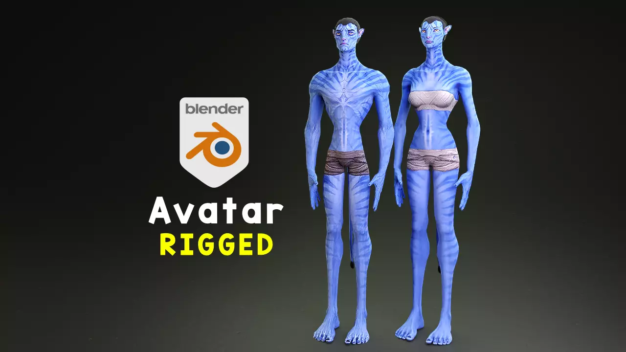 Avatar male and female character rigged 3D model_0