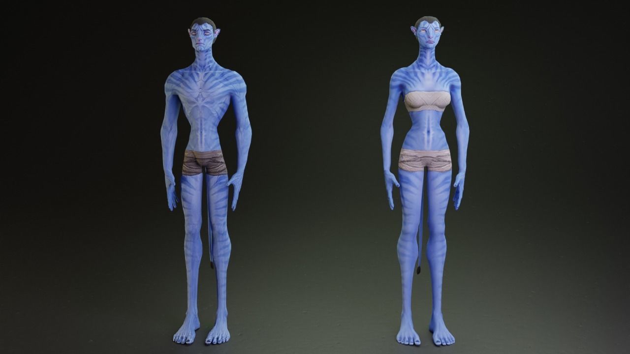 Avatar male and female character rigged 3D model_13
