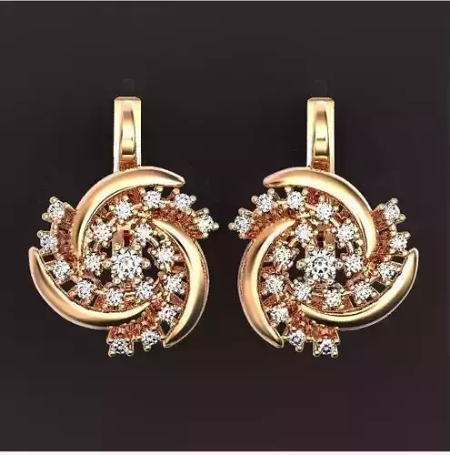 elegant earrings with stones