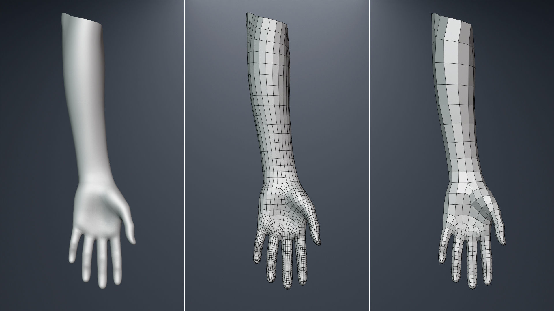 Base Mesh Set Low-poly 3D model_24