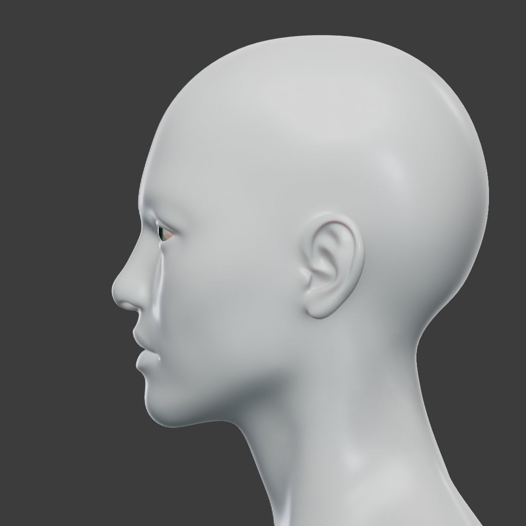 Base Mesh Set Low-poly 3D model_38