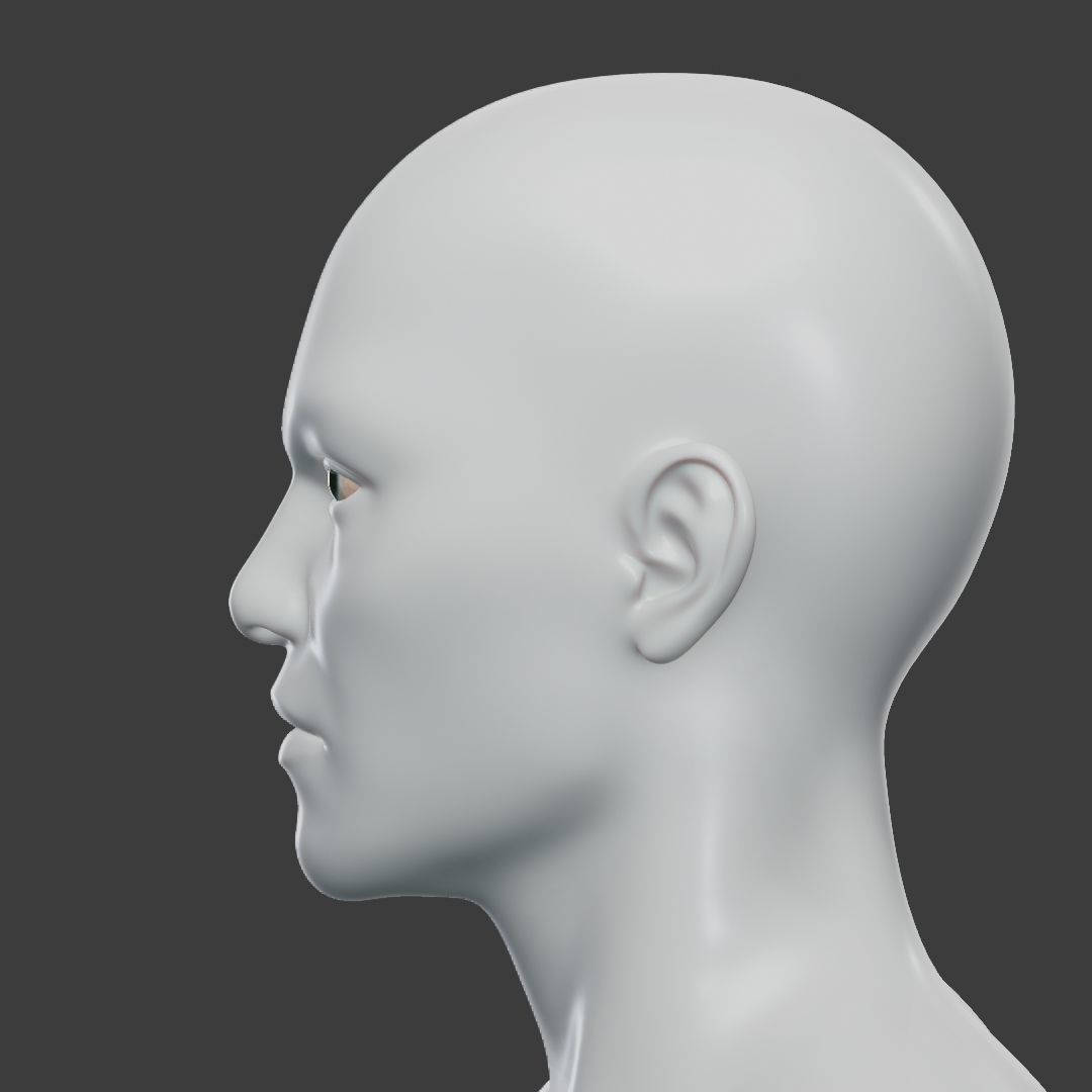 Base Mesh Set Low-poly 3D model_37