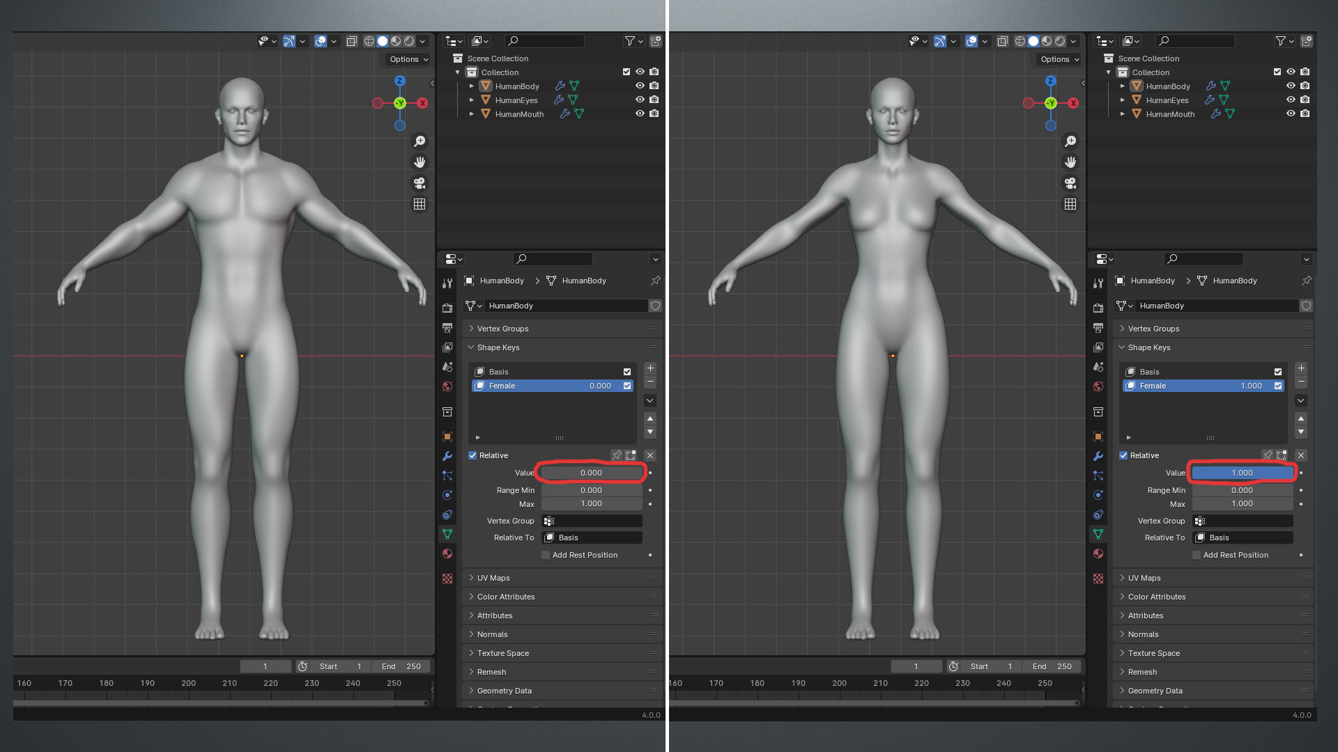 Base Mesh Set Low-poly 3D model_21