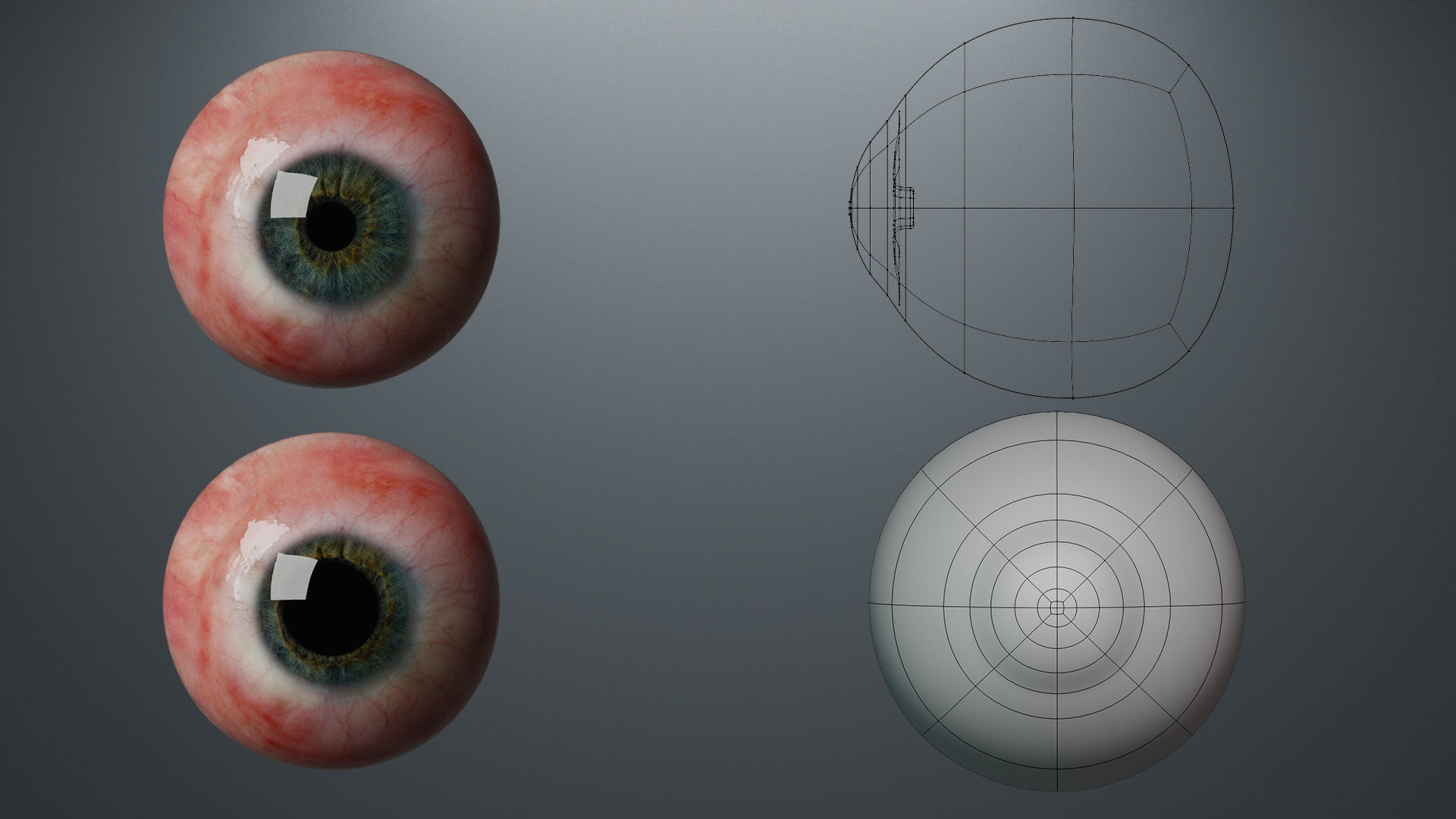 Base Mesh Set Low-poly 3D model_7