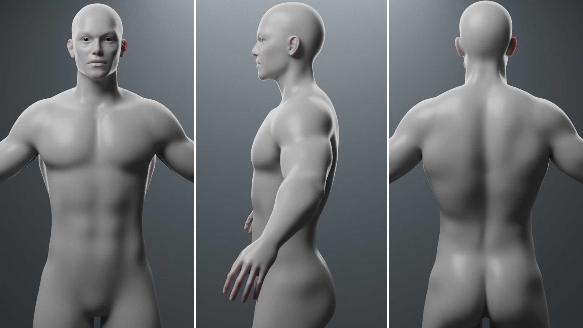 Base Mesh Set Low-poly 3D model_8