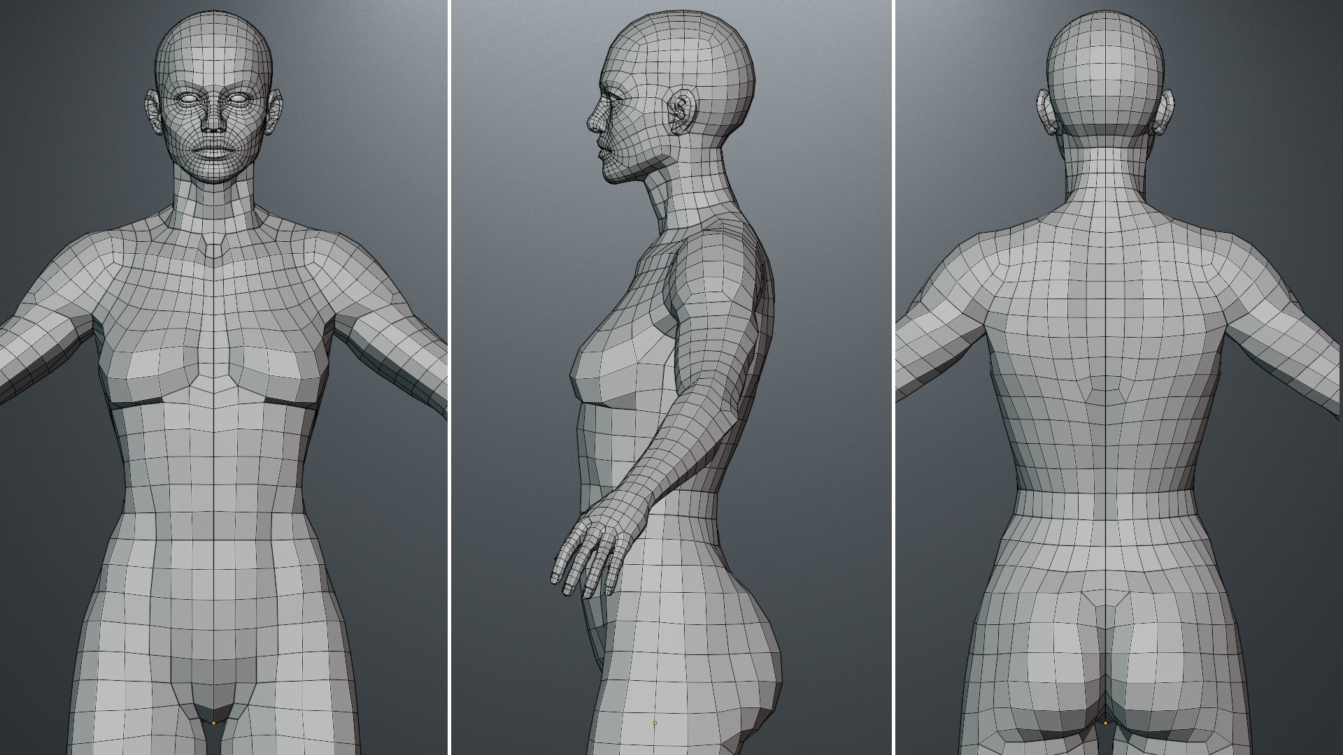 Base Mesh Set Low-poly 3D model_19