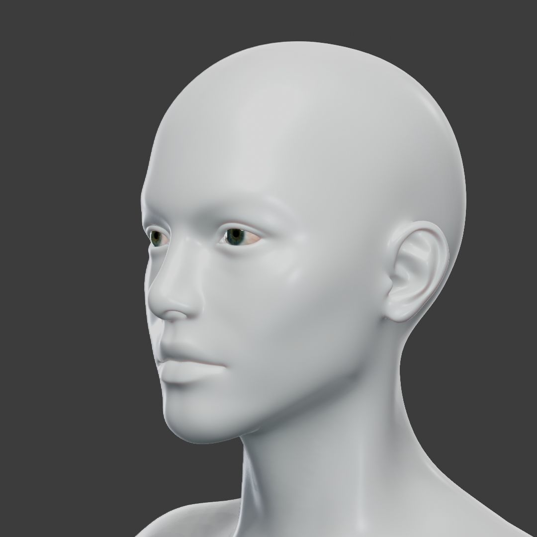 Base Mesh Set Low-poly 3D model_36