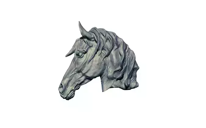 HORSE BUST HEAD