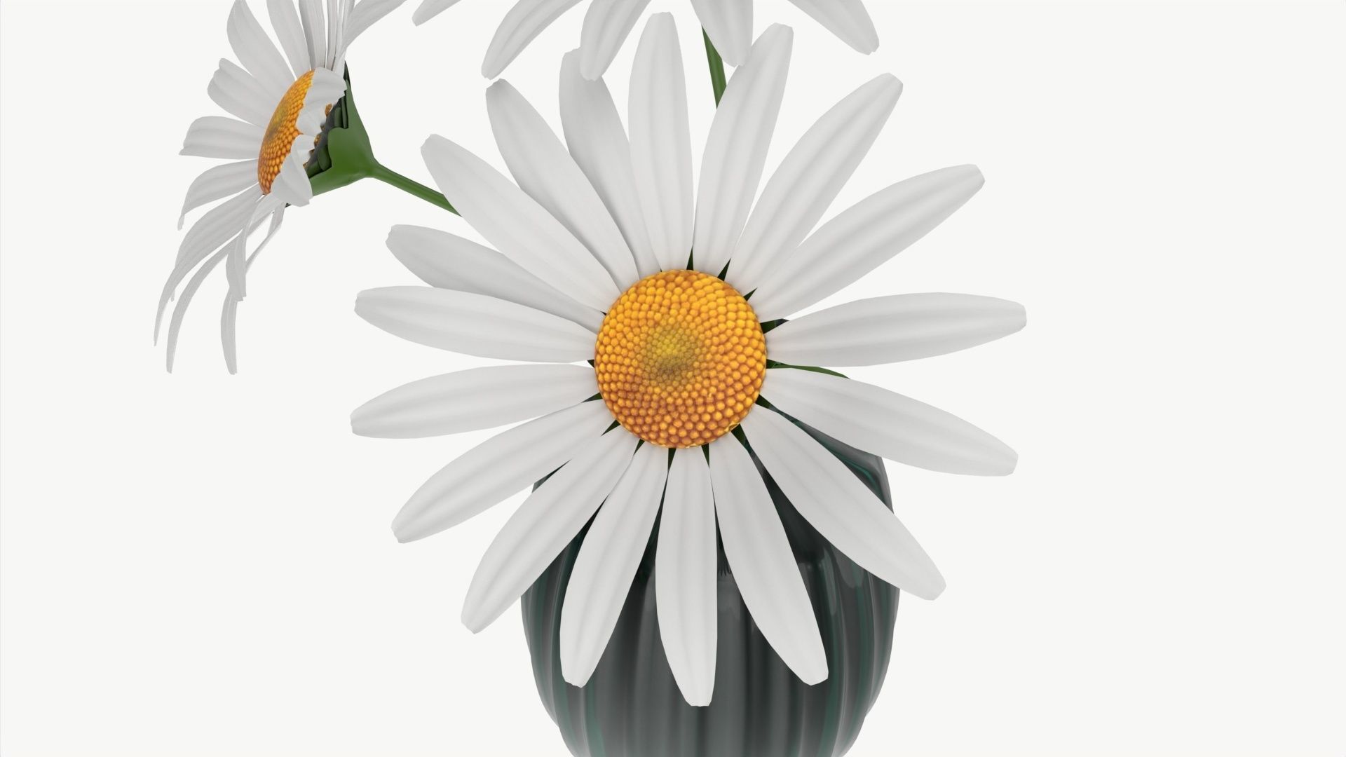 Vase with daisies 3D model_1