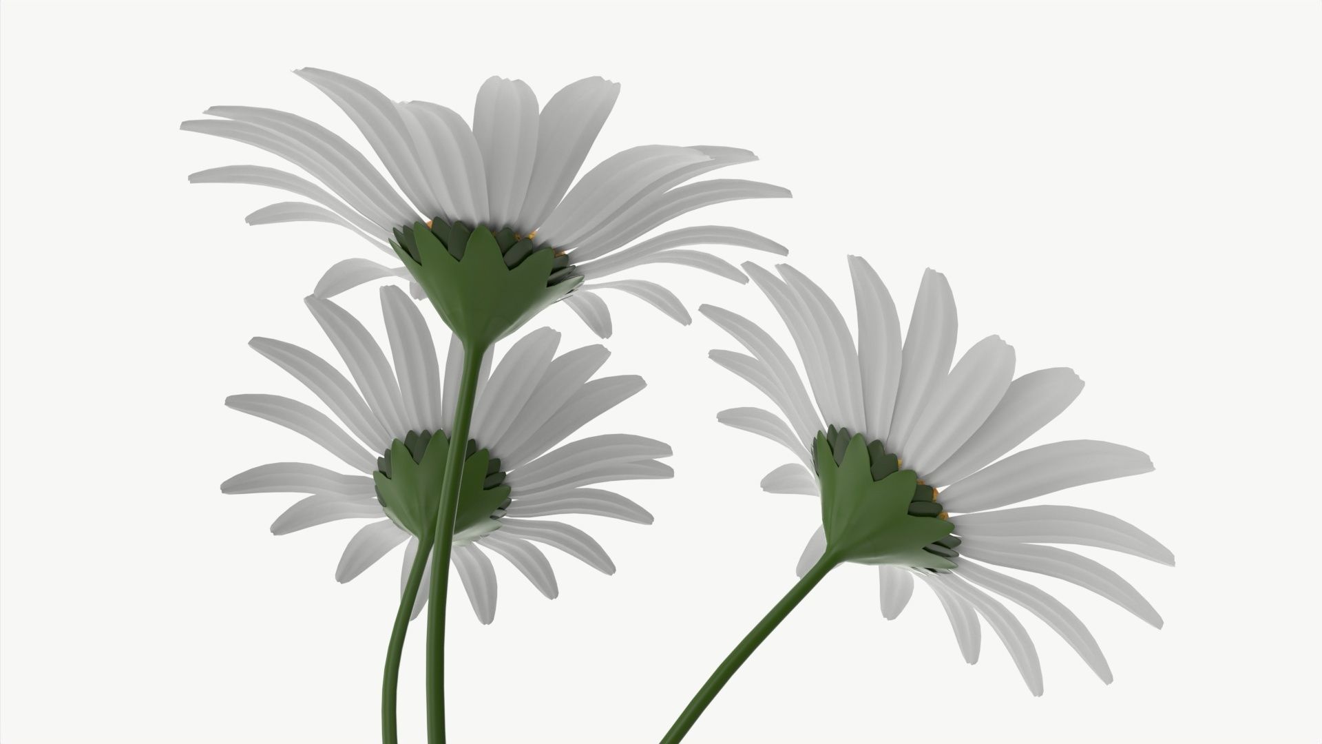 Vase with daisies 3D model_3