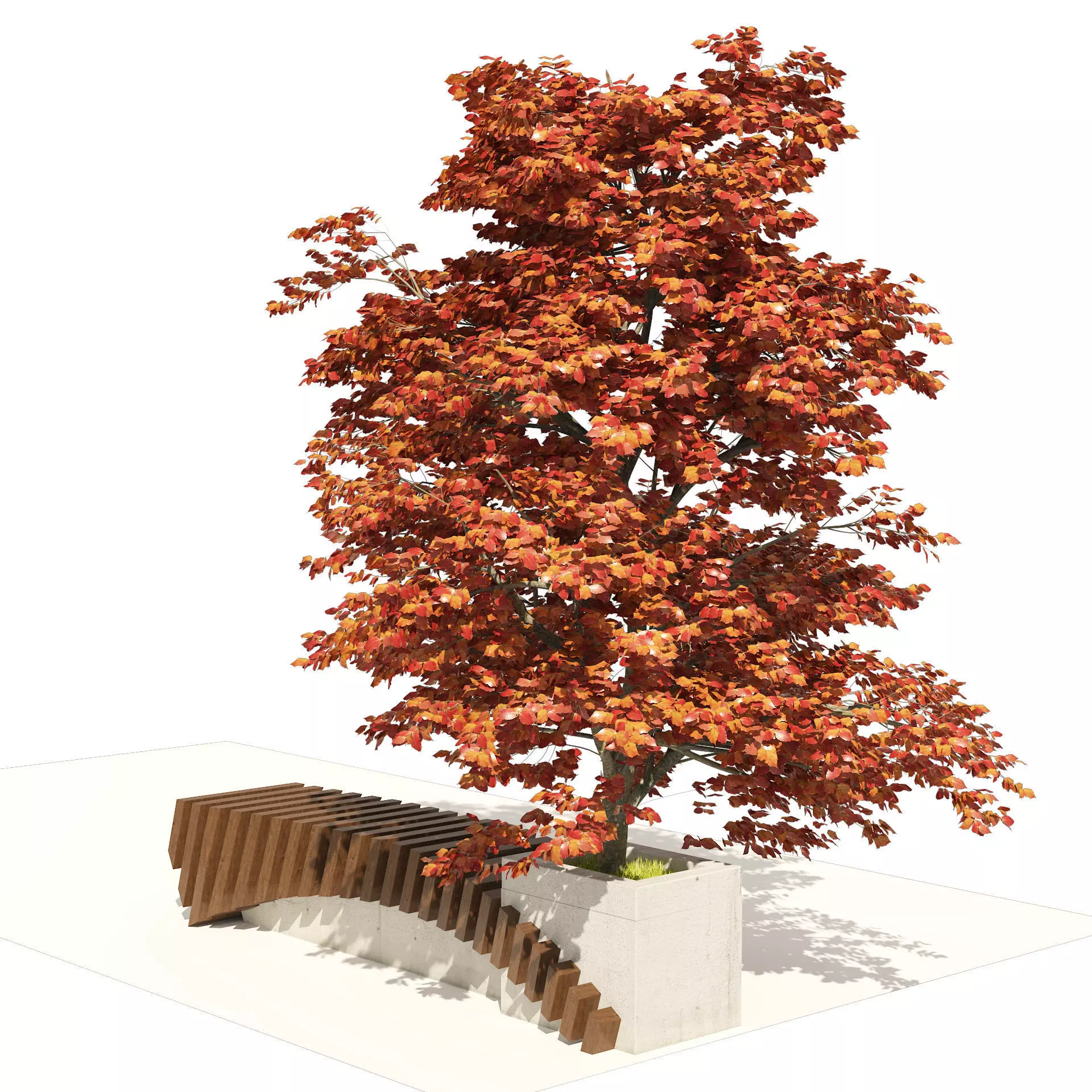 Bench with Kousa Dogwood Tree Low-poly 3D model_0
