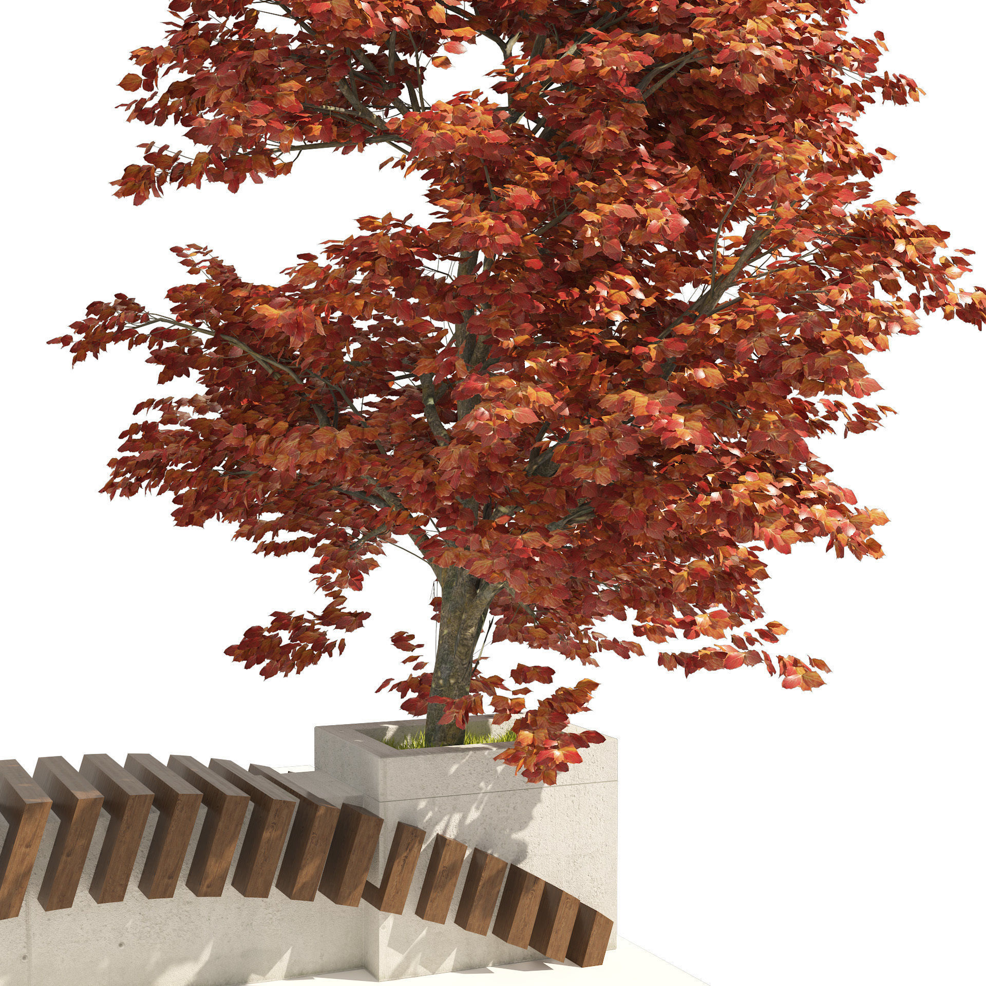 Bench with Kousa Dogwood Tree Low-poly 3D model_5