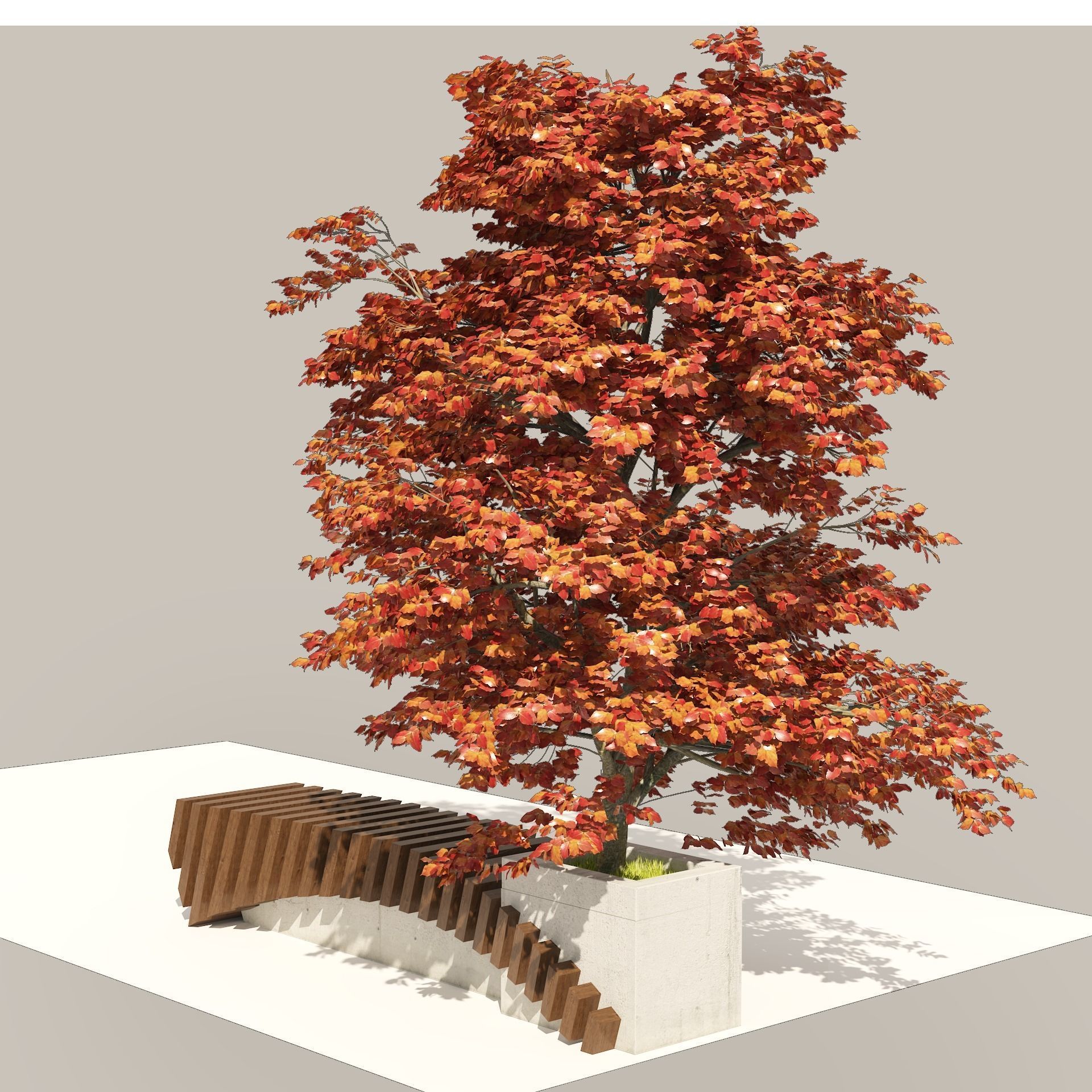 Bench with Kousa Dogwood Tree Low-poly 3D model_8
