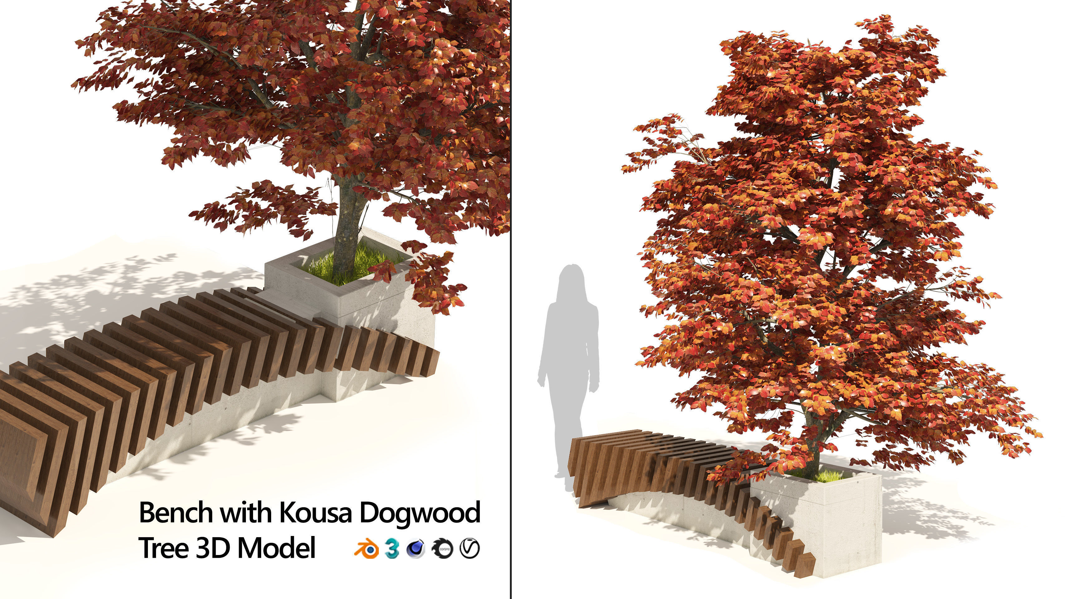 Bench with Kousa Dogwood Tree Low-poly 3D model_1