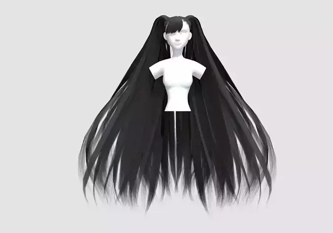 Very Long Hairstyle 