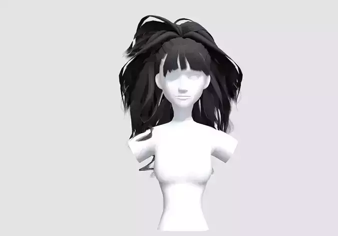 Thick Pigtail Hairstyle 