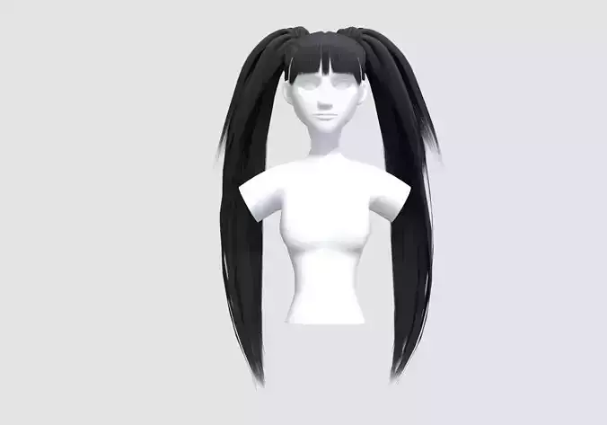 Pigtails Long Hairstyle 