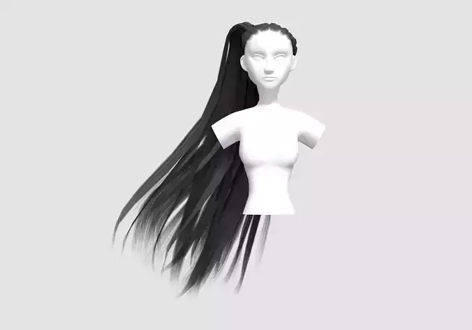 Pigtail Windy Hairstyle 