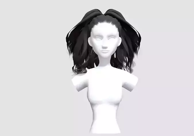 Pigtail Thick Hairstyle 