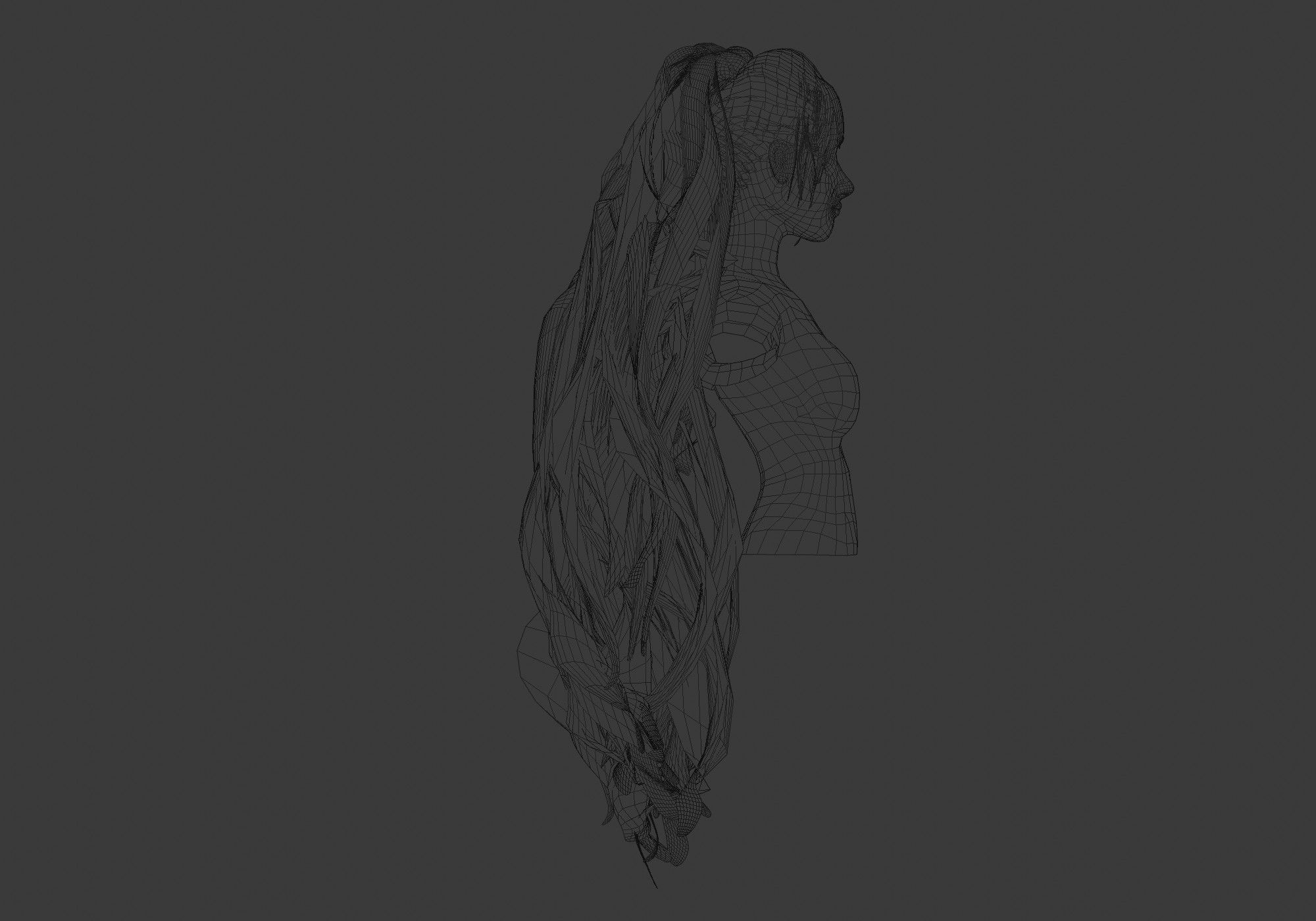 Long Wavy Hairstyle  3D model_7