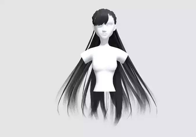 Long Stylized Hairstyle 