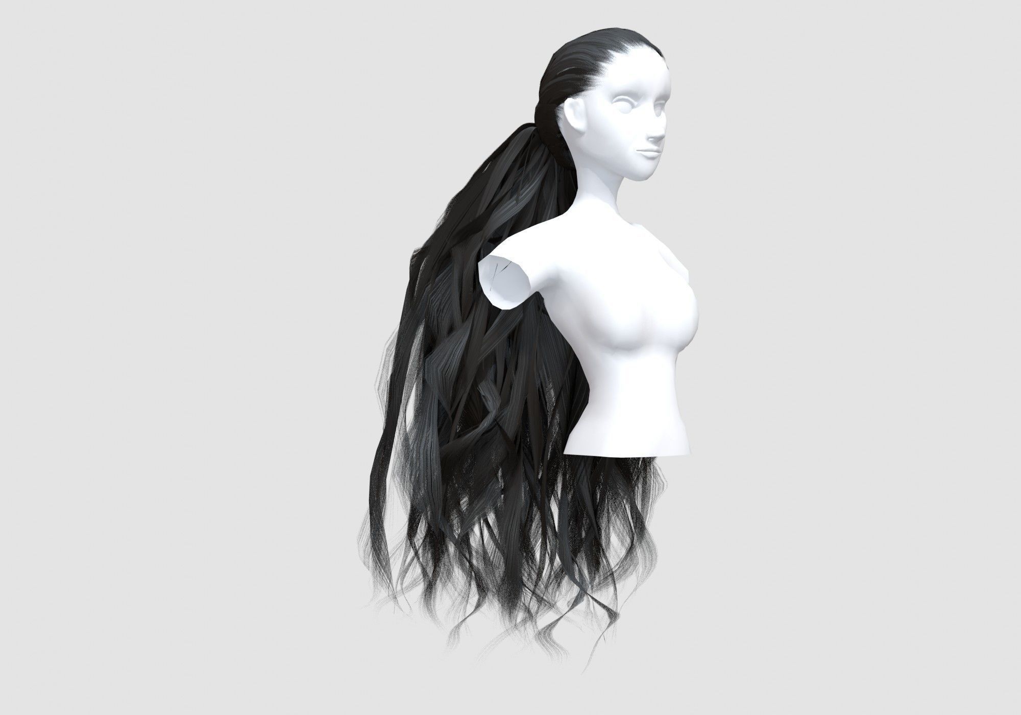 Long Black Hairstyle 3D model_1