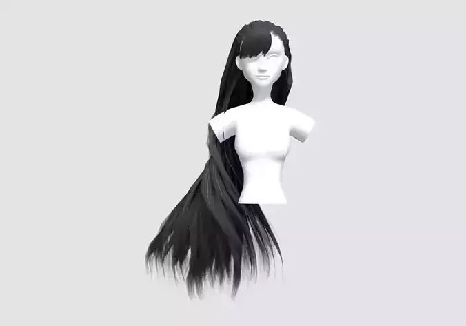 Big Pigtail Hairstyle 