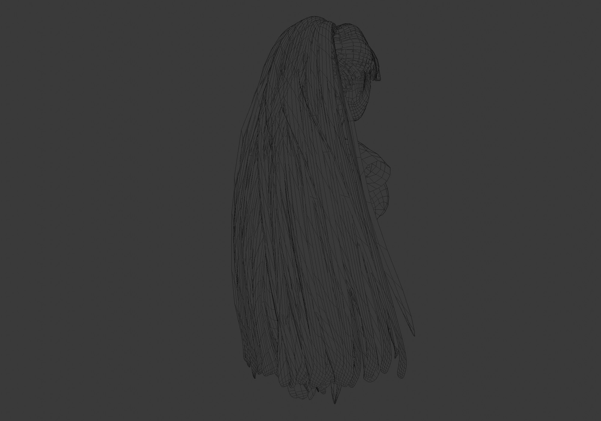 Bangs Long Hairstyle 3D model_8