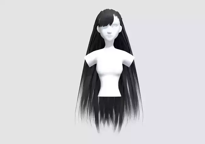 Bangs Long Hairstyle  3D model