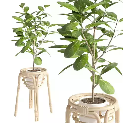 BUSKBO Plant stand