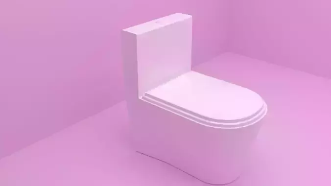 Toilet Bathroom 