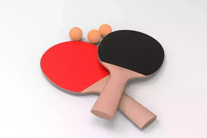 Ping-Pong Racket