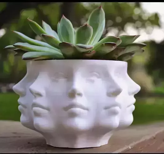 Face pot 