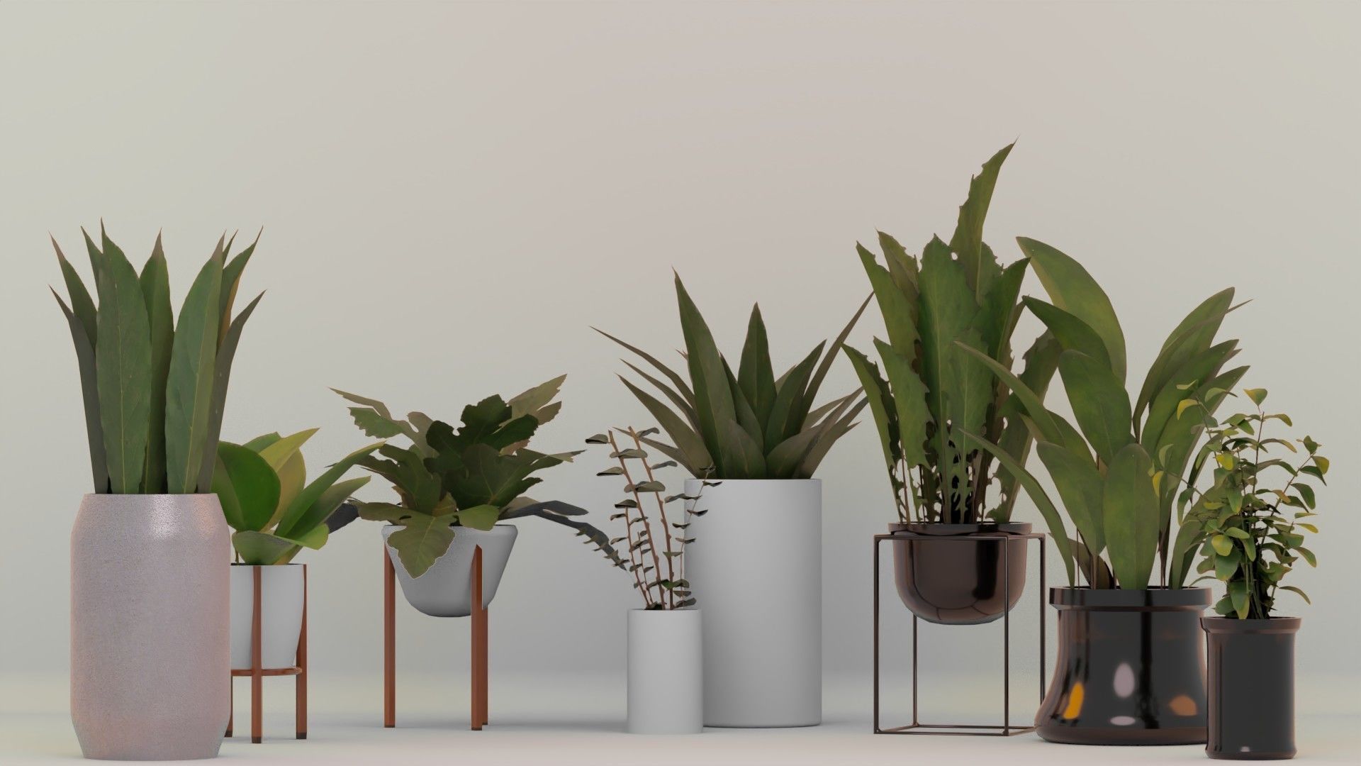 Plants For Decoration Low-poly 3D model_2