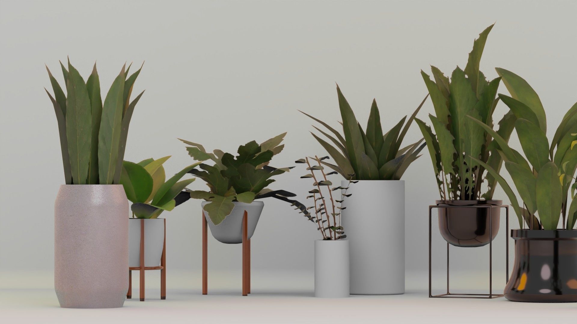 Plants For Decoration Low-poly 3D model_4