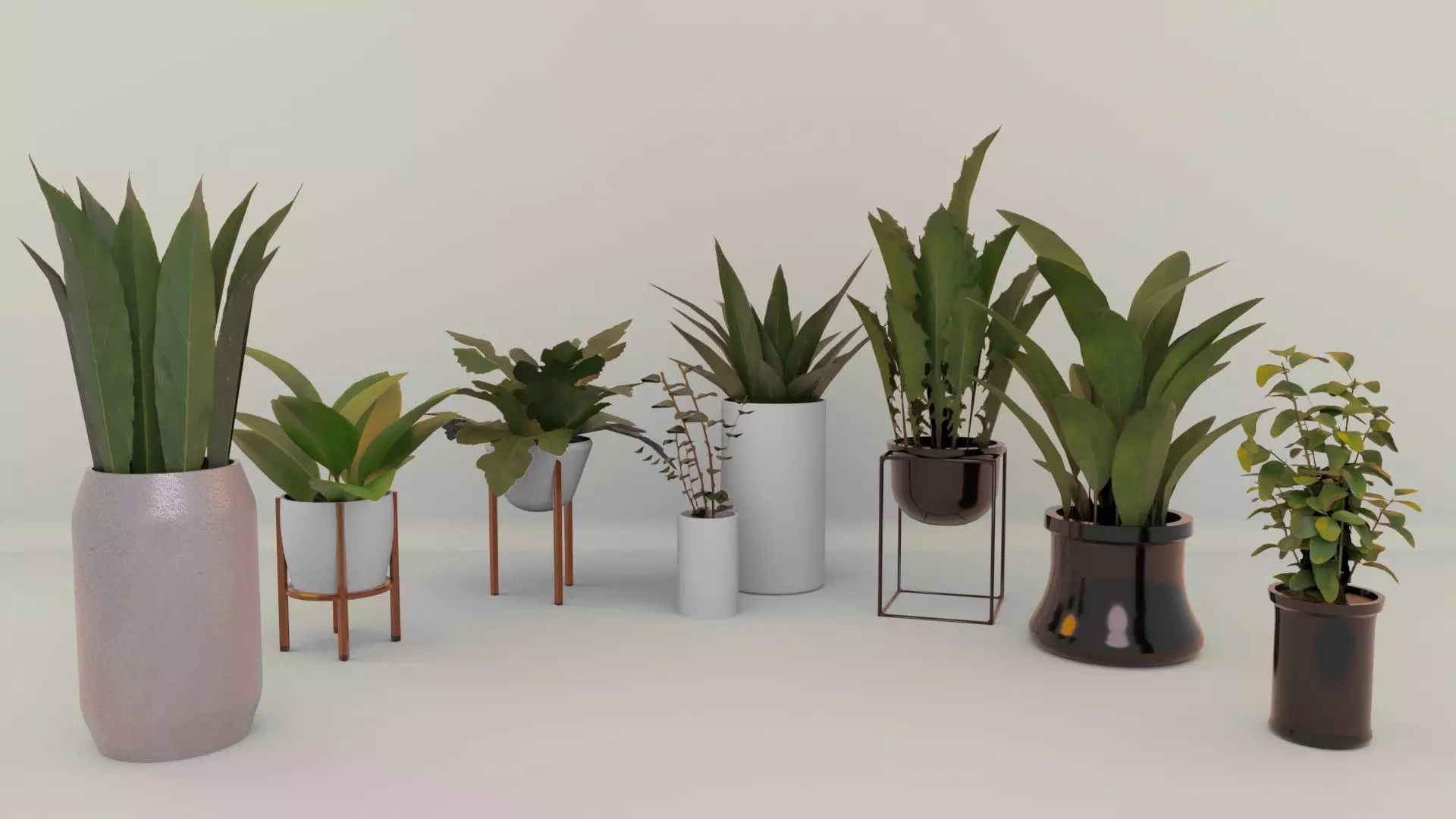 Plants For Decoration Low-poly 3D model_0