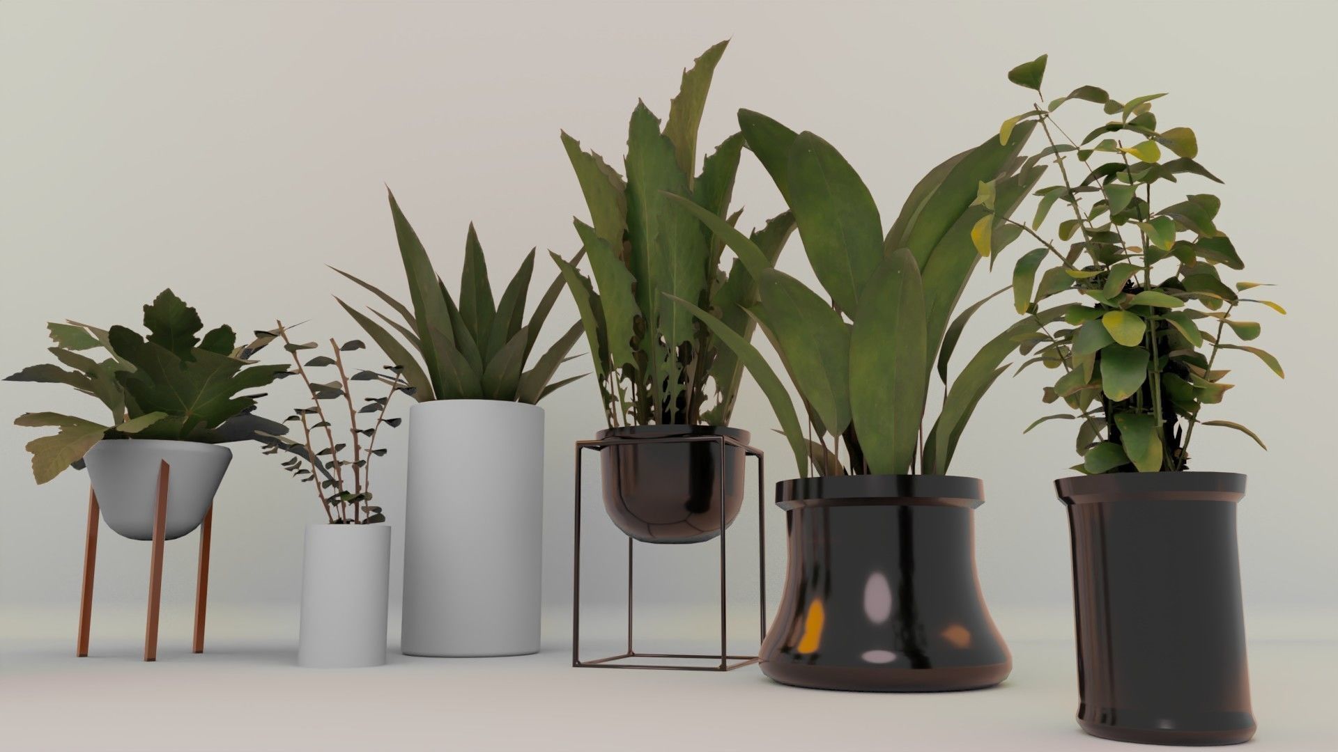 Plants For Decoration Low-poly 3D model_1