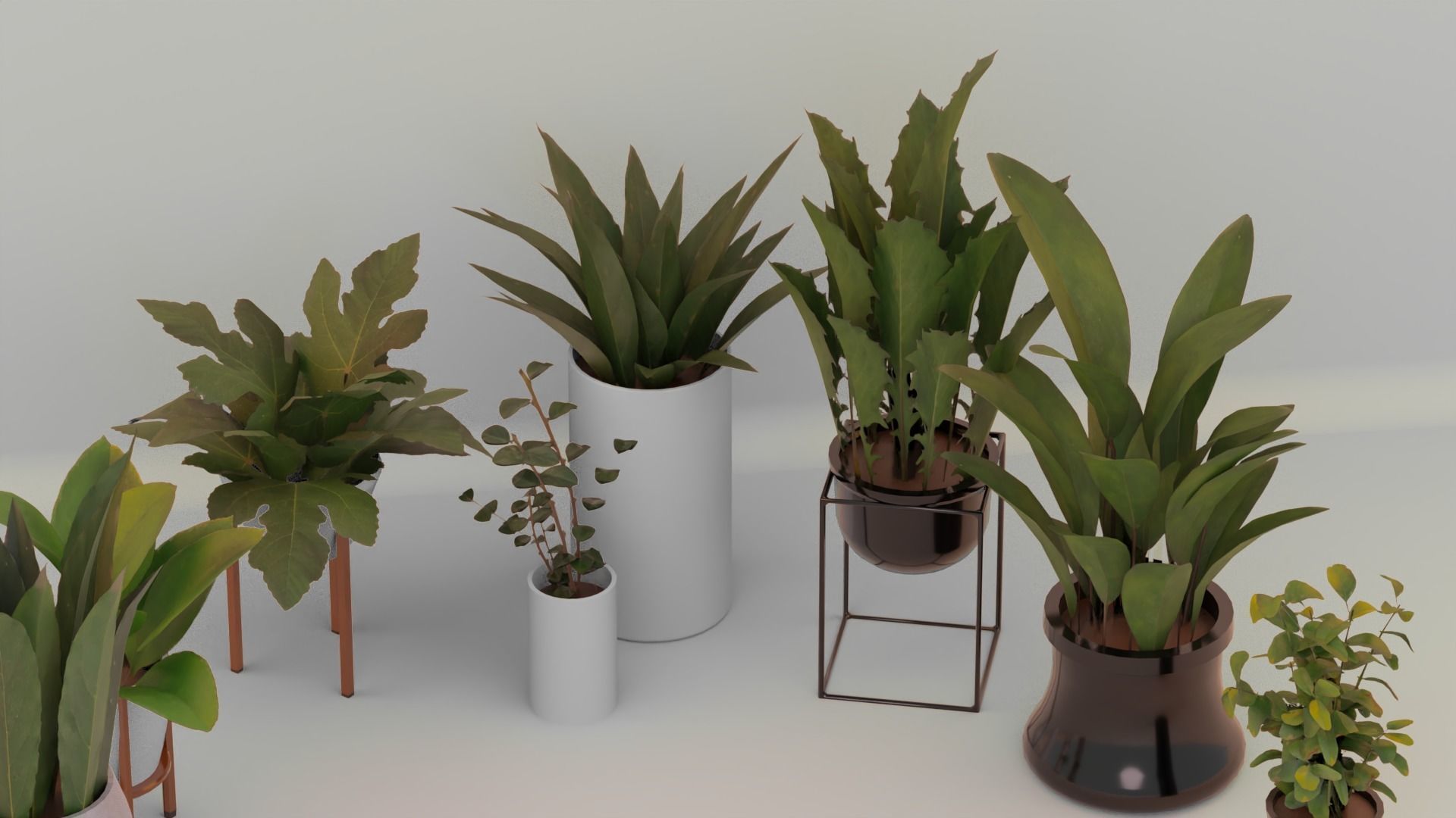 Plants For Decoration Low-poly 3D model_3